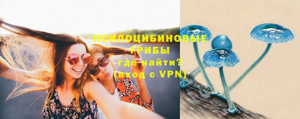 амфетамин Алексин
